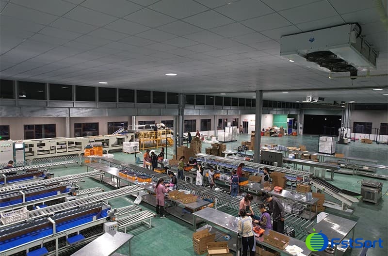 images/1669883758070plum sorter.jpg